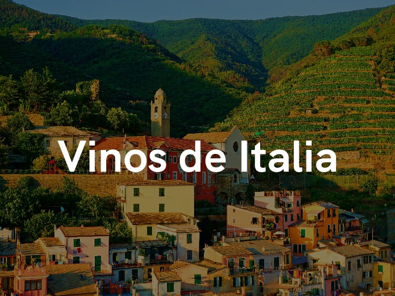 VINOS DE ITALIA